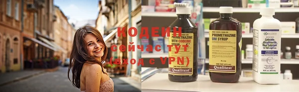 первитин Инта
