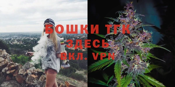 первитин Инта