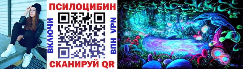 это состав  продажа наркотиков  Городище  Галлюциногенные грибы MAGIC MUSHROOMS 